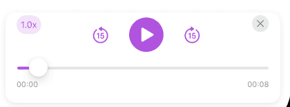 Audio player interface