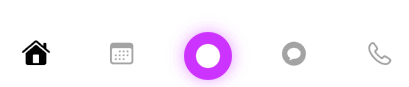 Navigation icons with home, calendar, record, and phone
